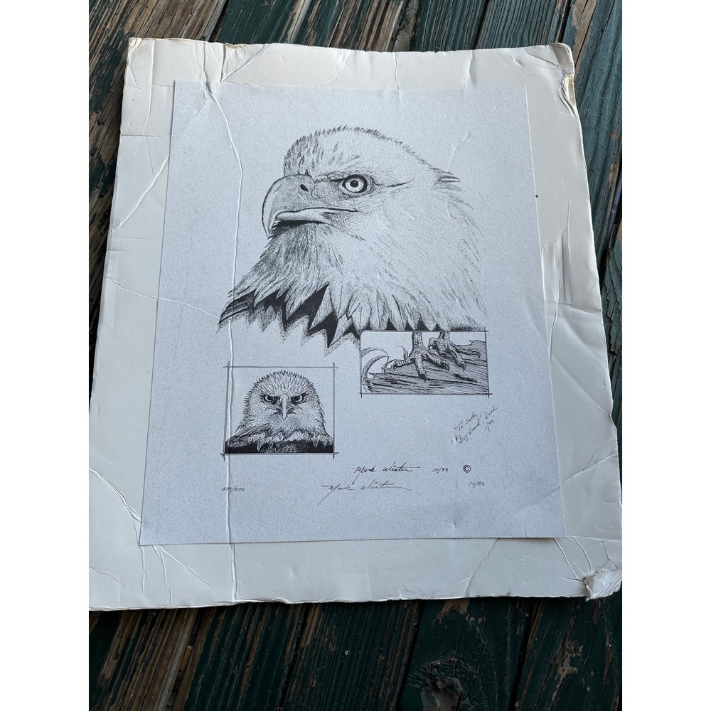 Mark Winter Signed Numbered Bald Eagle Lithograph Print 1992 028/200 9x12